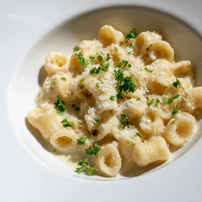 Bowl of ditalini pasta with creamy garlic flavor, a vegetarian delight, ready to be enjoyed.
